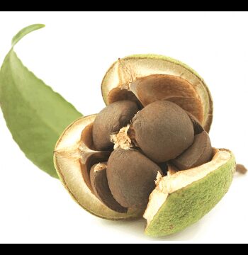 Canellia Seed Olie Hudpleje Primavera Godkarmashop - Primavera Evilbeauty