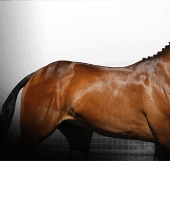 Naf Hudpleje Skin Lotion 500ml - Naf Evilbeauty  - 5032410130997